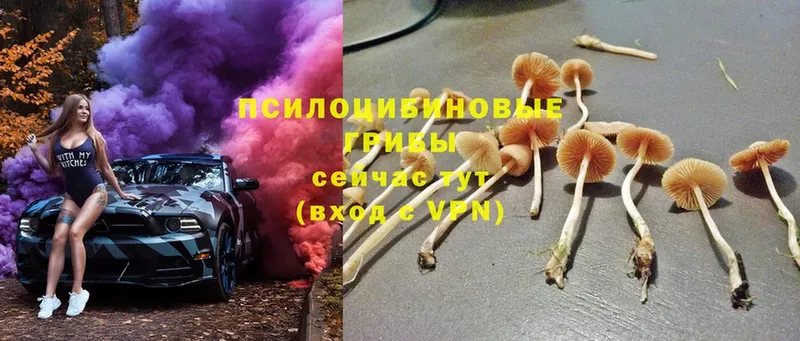 Галлюциногенные грибы мухоморы  Видное 